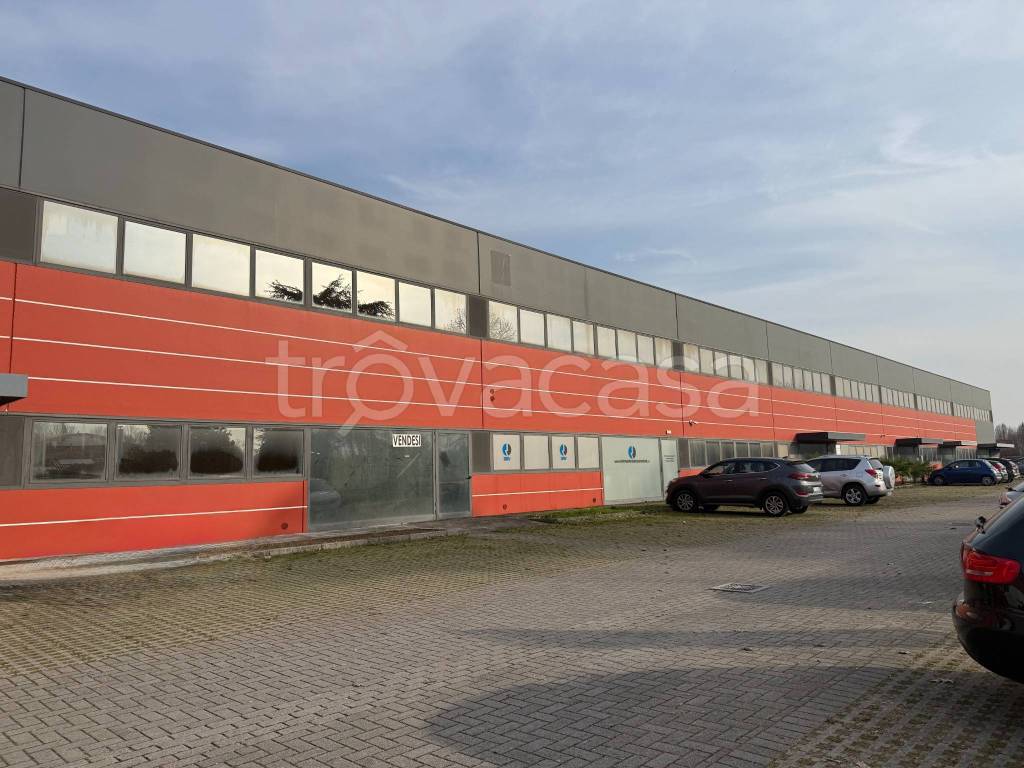 immagine annuncio 10 di 11