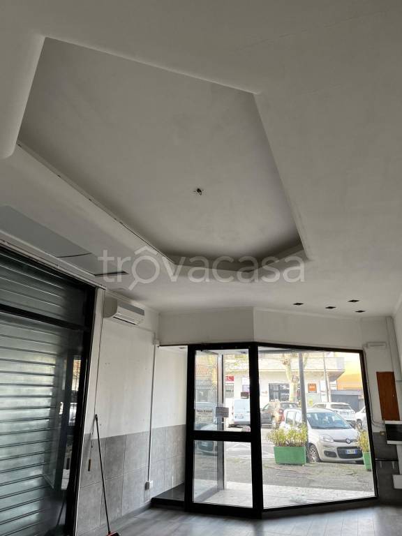 immagine annuncio 3 di 7