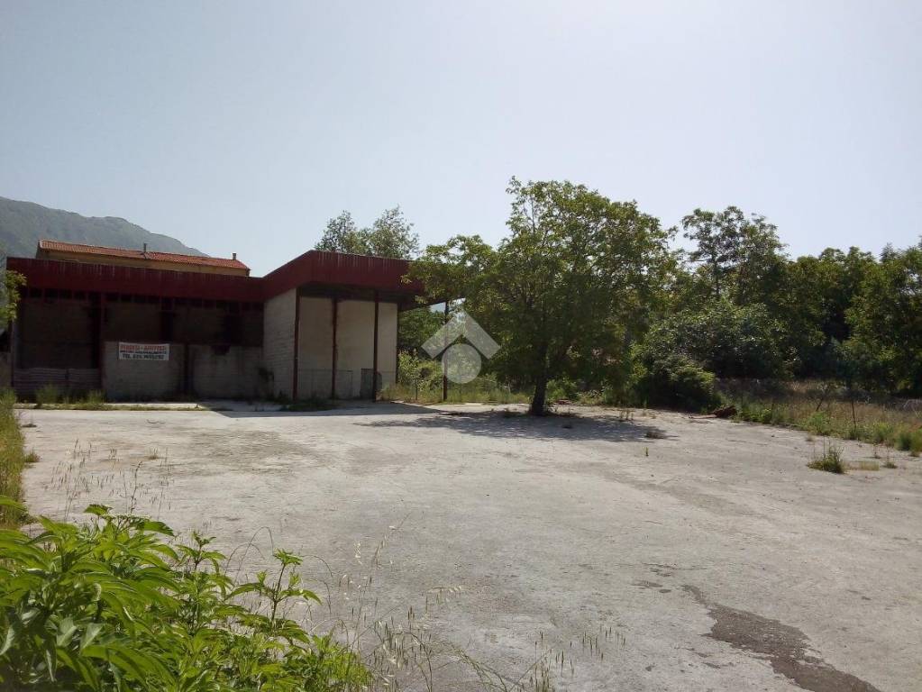 immagine annuncio 1 di 8