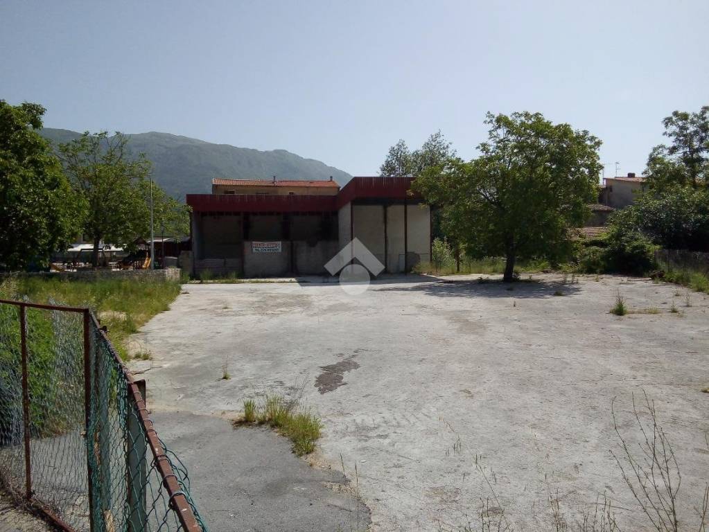 immagine annuncio 2 di 8