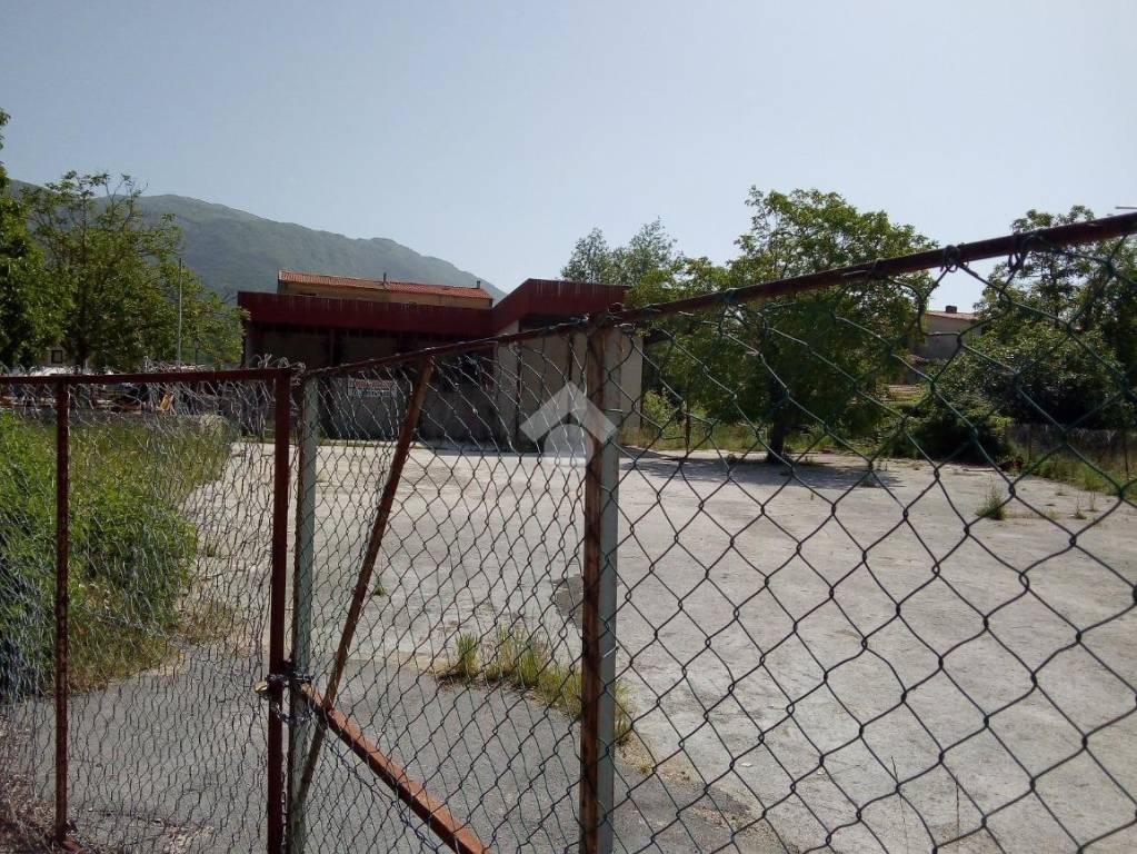 immagine annuncio 4 di 8