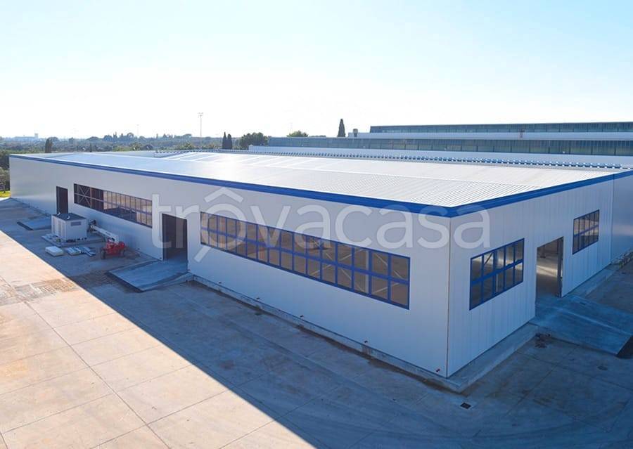 immagine annuncio 5 di 7