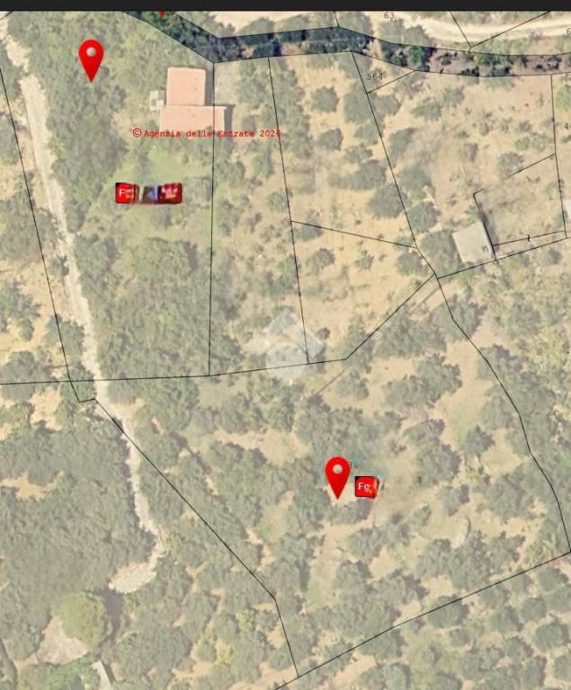 immagine annuncio 4 di 11