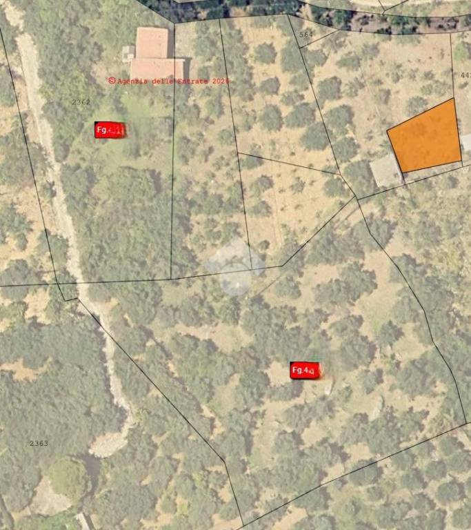 immagine annuncio 8 di 11