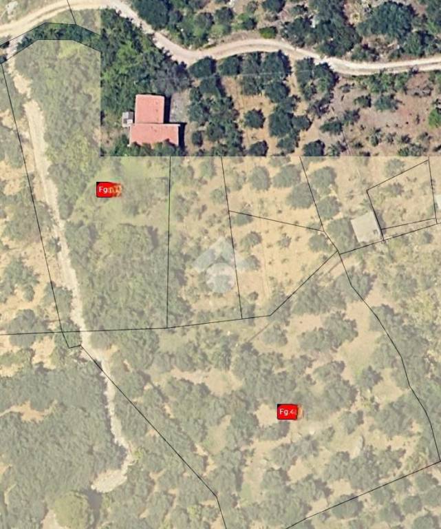 immagine annuncio 9 di 11