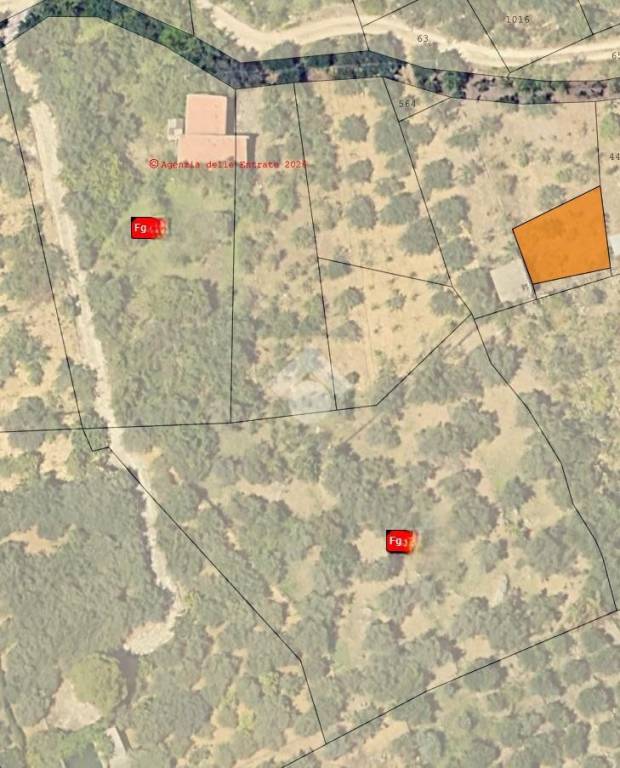 immagine annuncio 10 di 11