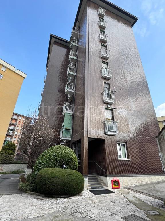 immagine annuncio 10 di 14