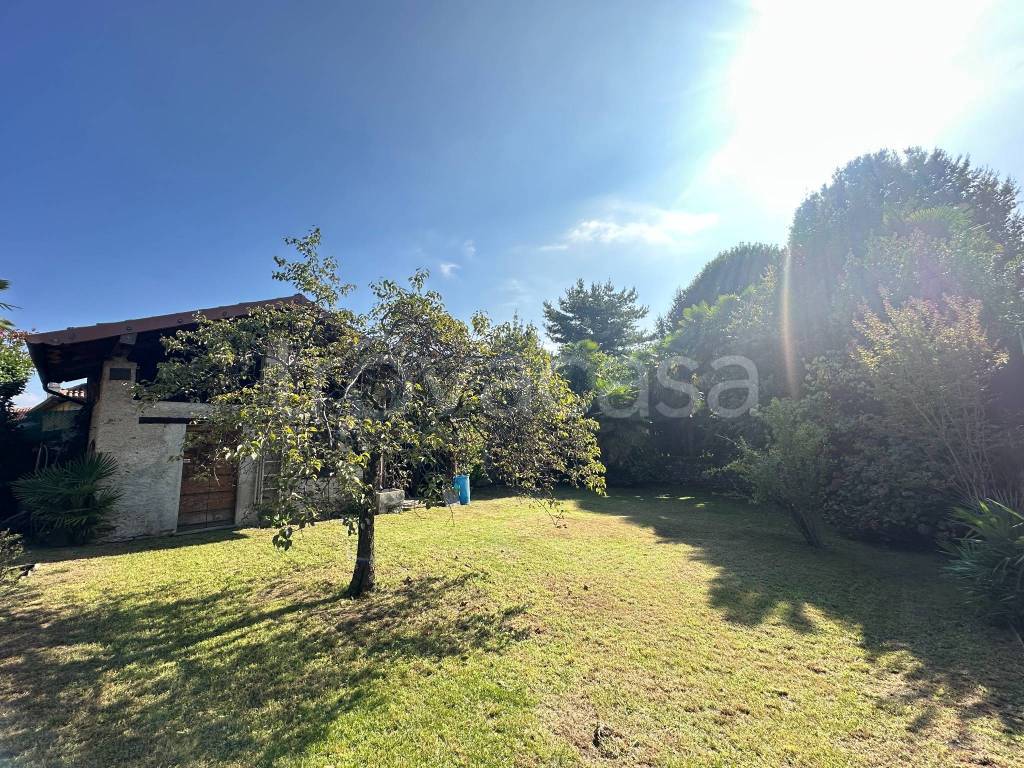 immagine annuncio 11 di 15