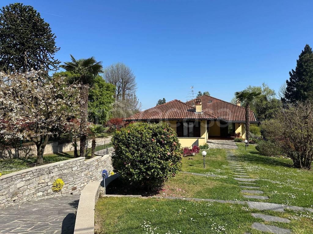 immagine annuncio 5 di 15