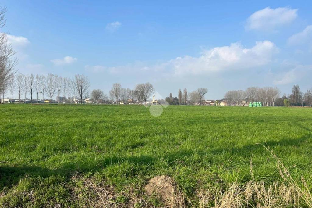 immagine annuncio 12 di 14