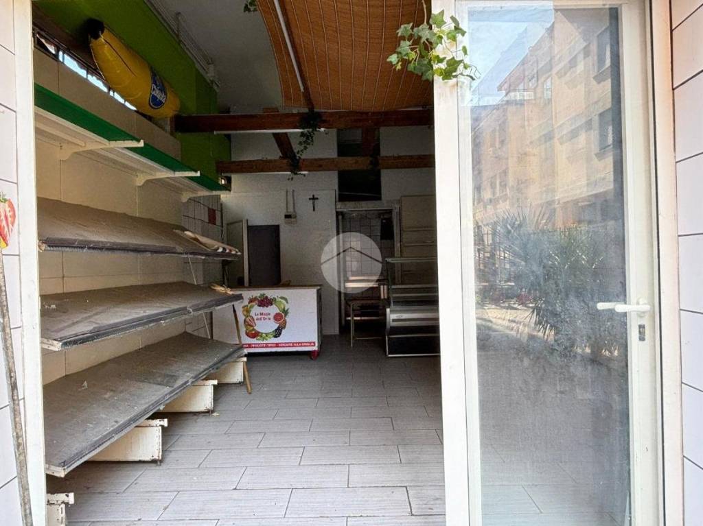 immagine annuncio 6 di 14