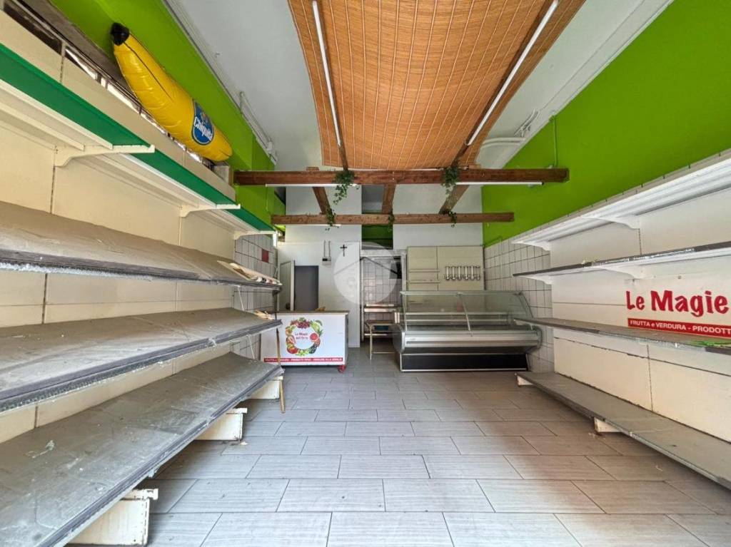 immagine annuncio 7 di 14