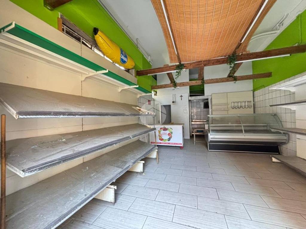 immagine annuncio 9 di 14