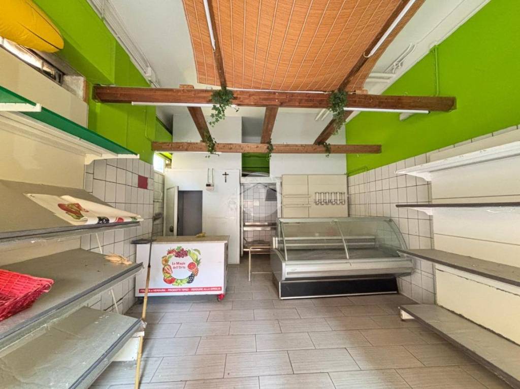 immagine annuncio 10 di 14