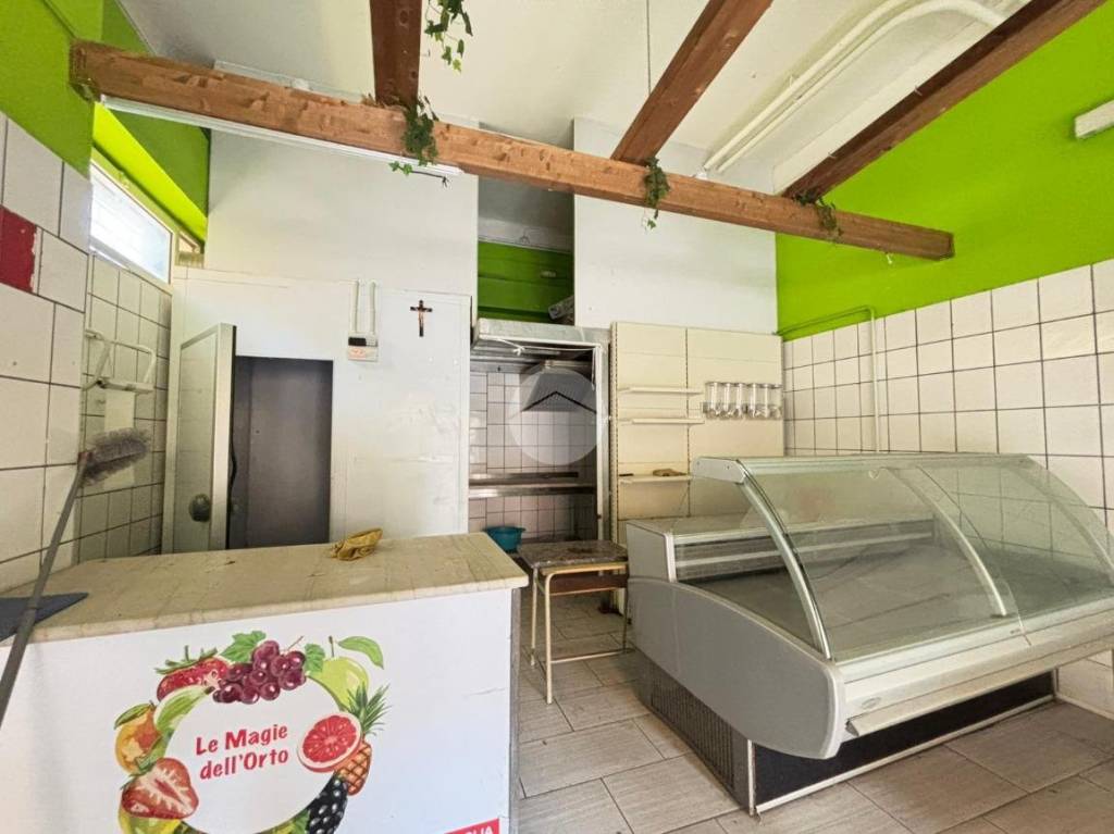 immagine annuncio 11 di 14