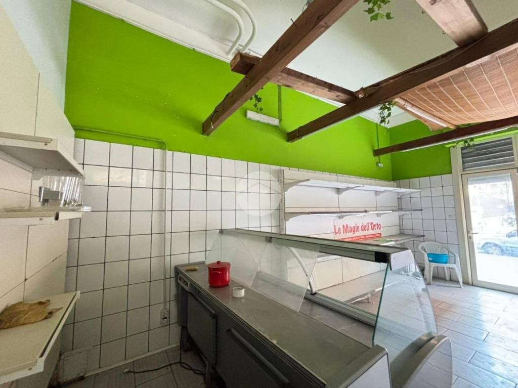 immagine annuncio 12 di 14