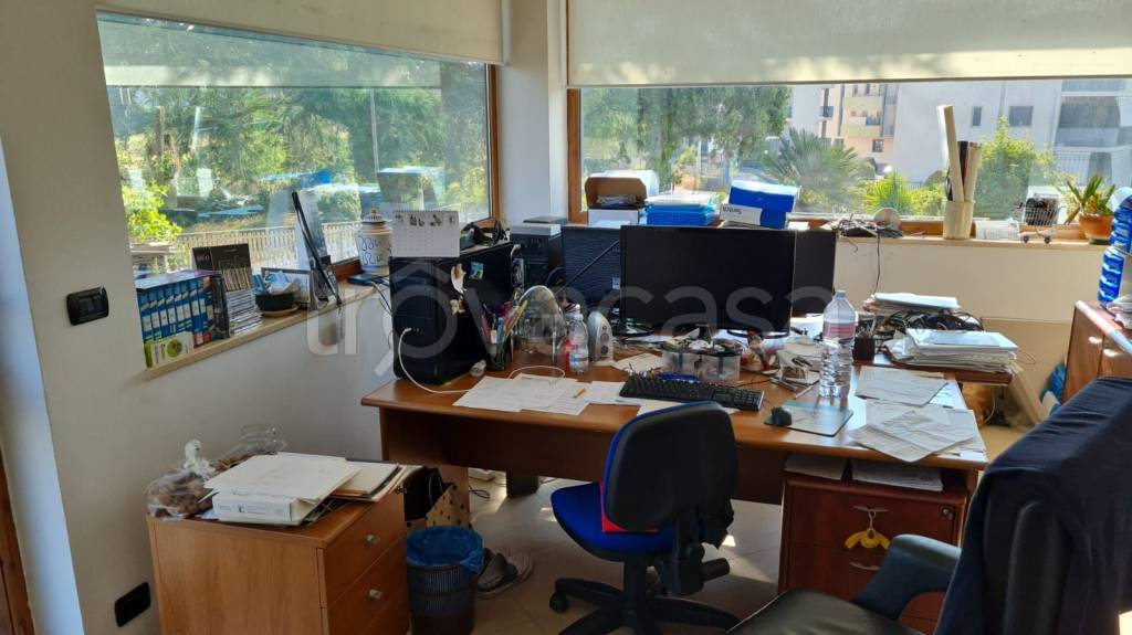 immagine annuncio 11 di 13