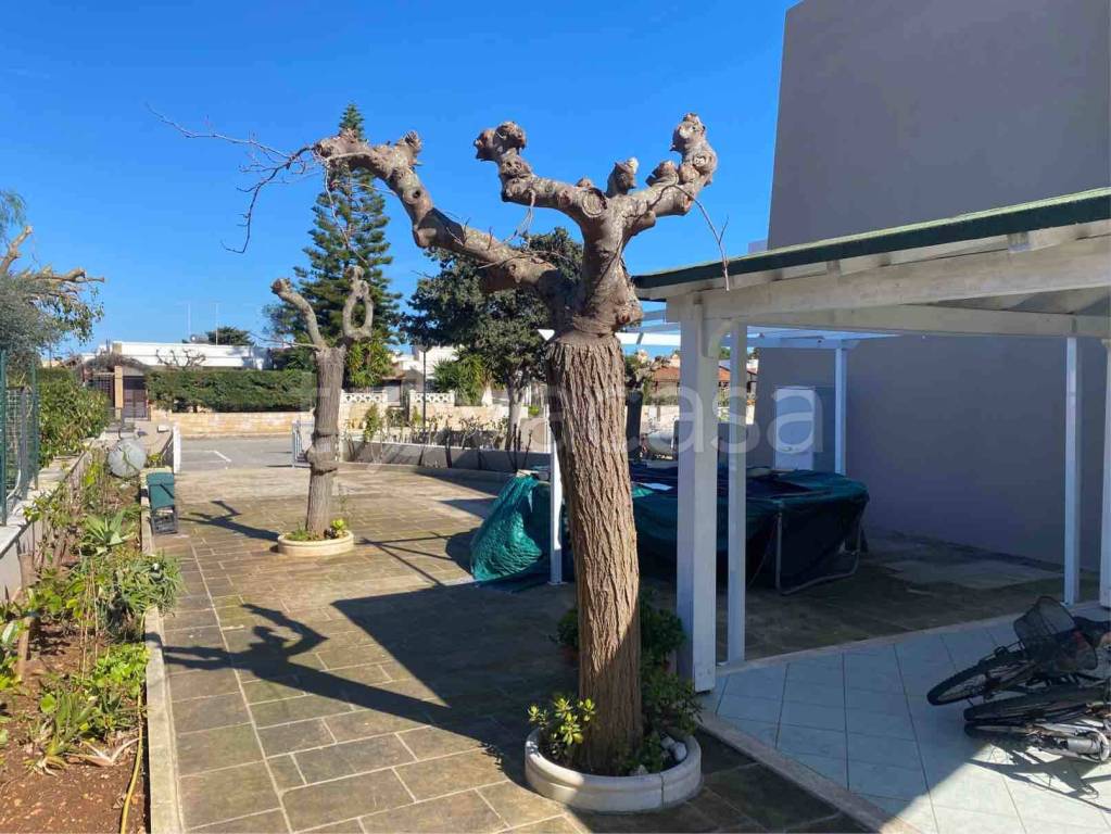 immagine annuncio 2 di 12