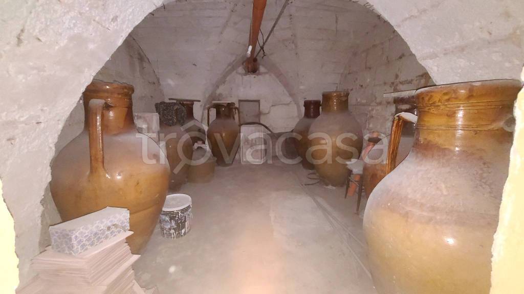 immagine annuncio 11 di 13