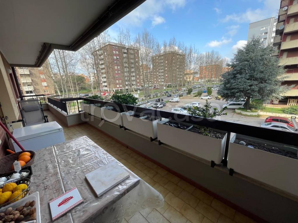 immagine annuncio 7 di 15