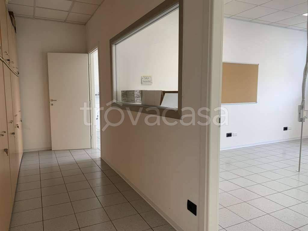 immagine annuncio 4 di 8