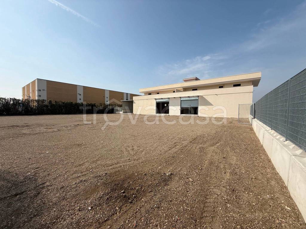 immagine annuncio 5 di 15