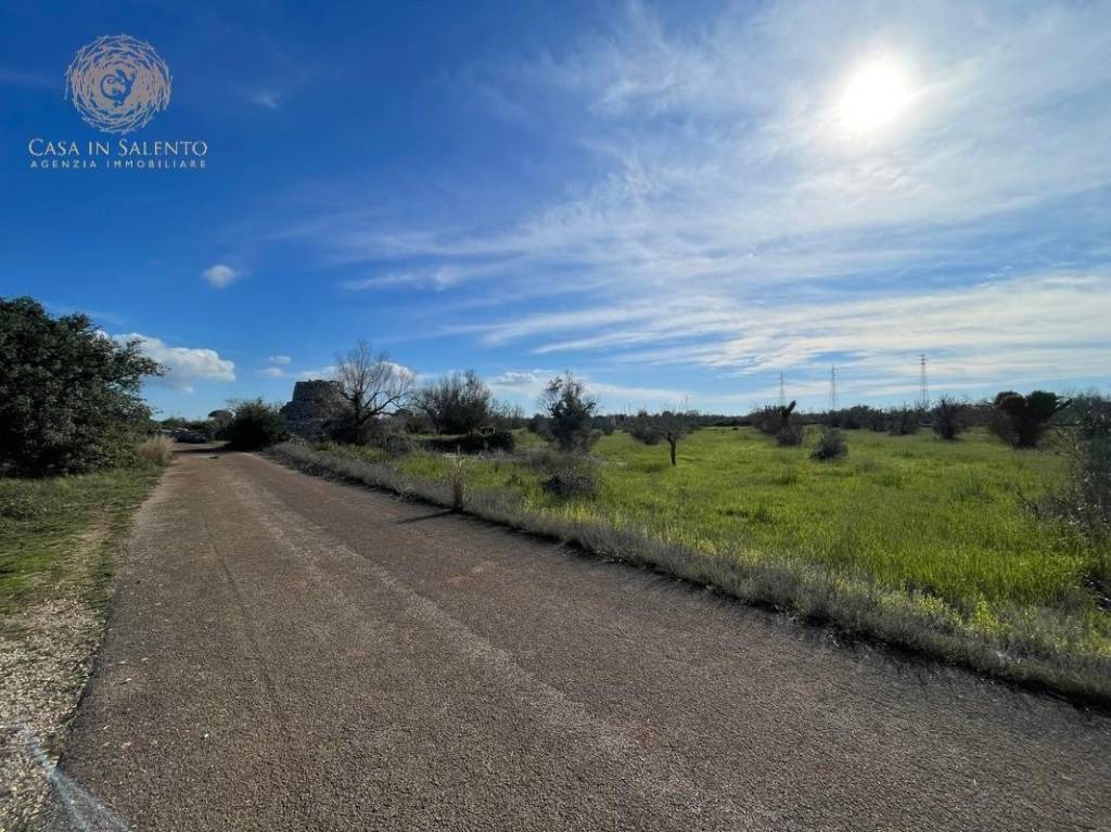 immagine annuncio 13 di 15