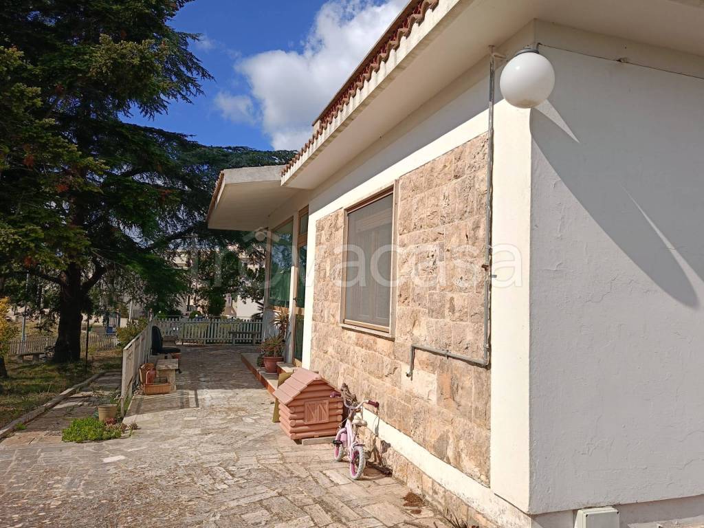 immagine annuncio 7 di 13