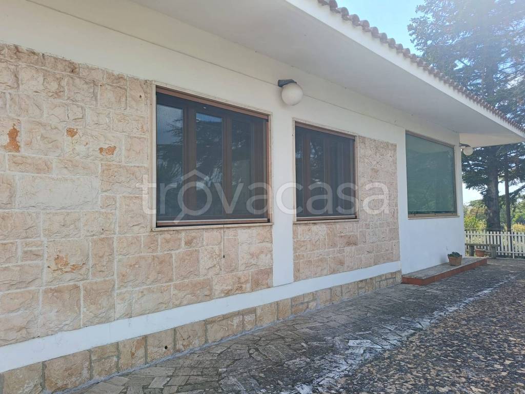 immagine annuncio 8 di 13