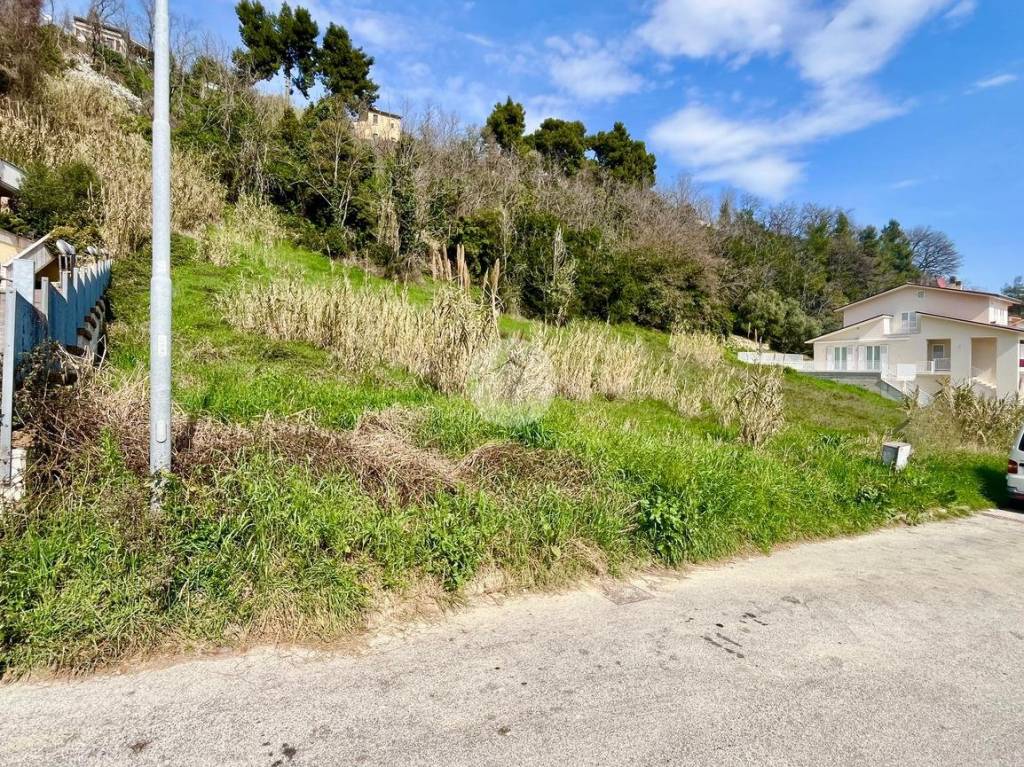 immagine annuncio 2 di 7