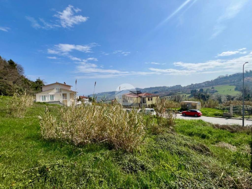 immagine annuncio 3 di 7