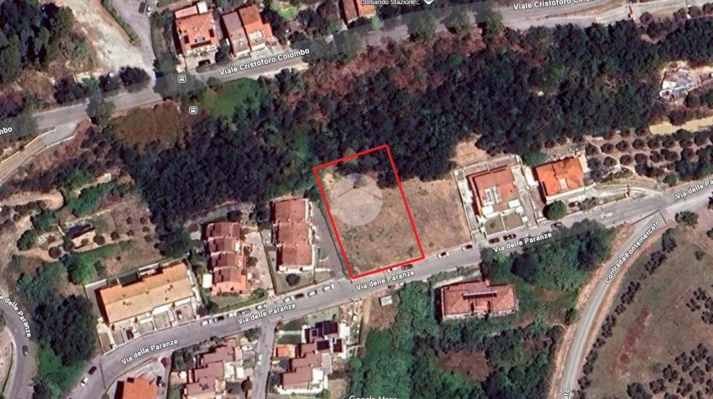 immagine annuncio 4 di 7