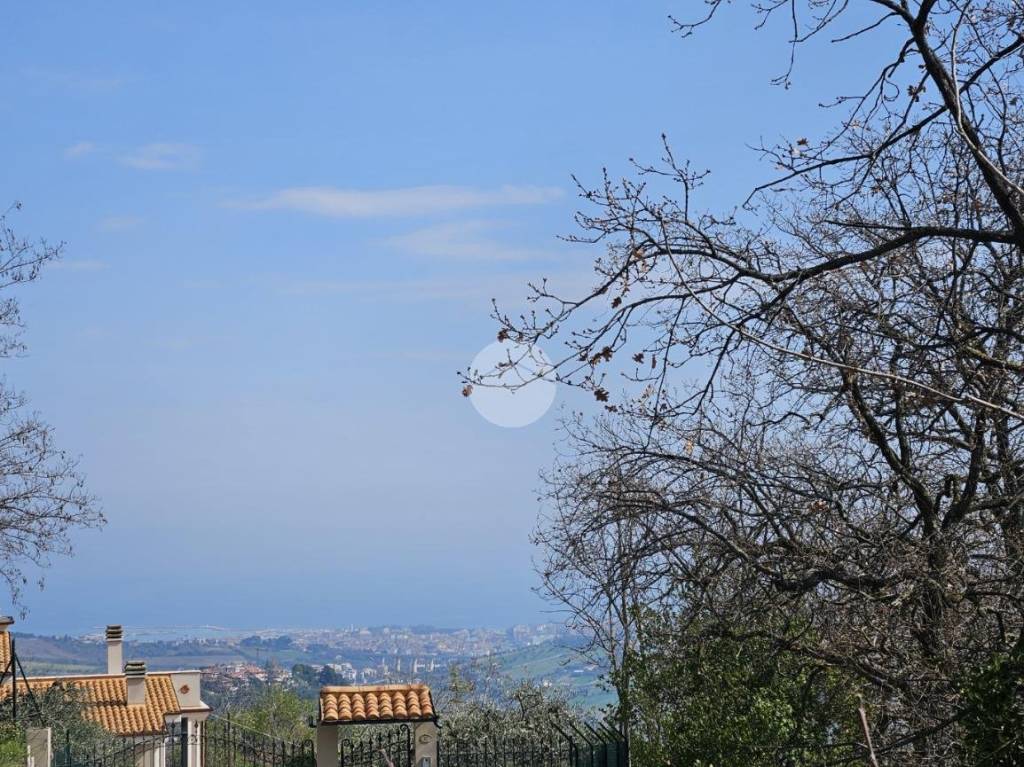 immagine annuncio 6 di 7