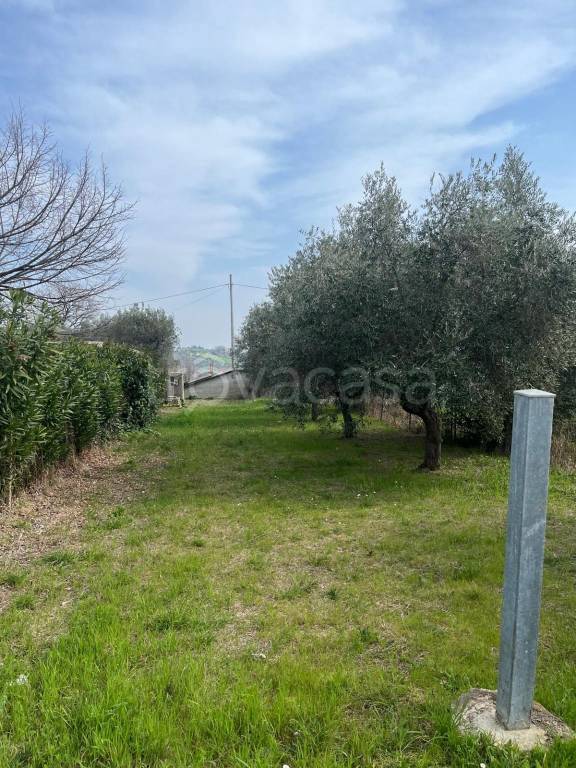 immagine annuncio 1 di 6