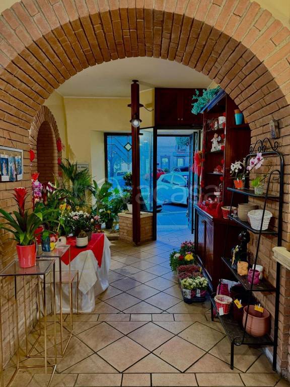 immagine annuncio 3 di 9