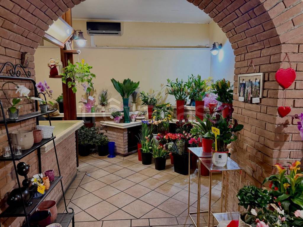 immagine annuncio 2 di 9