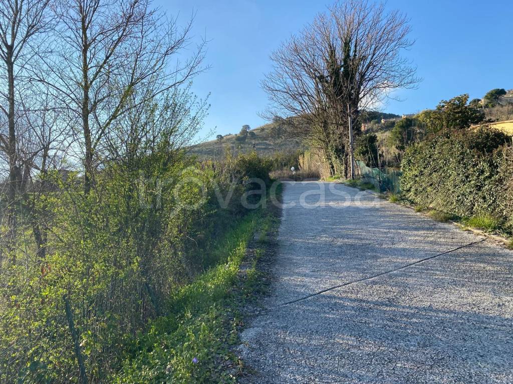 immagine annuncio 3 di 11