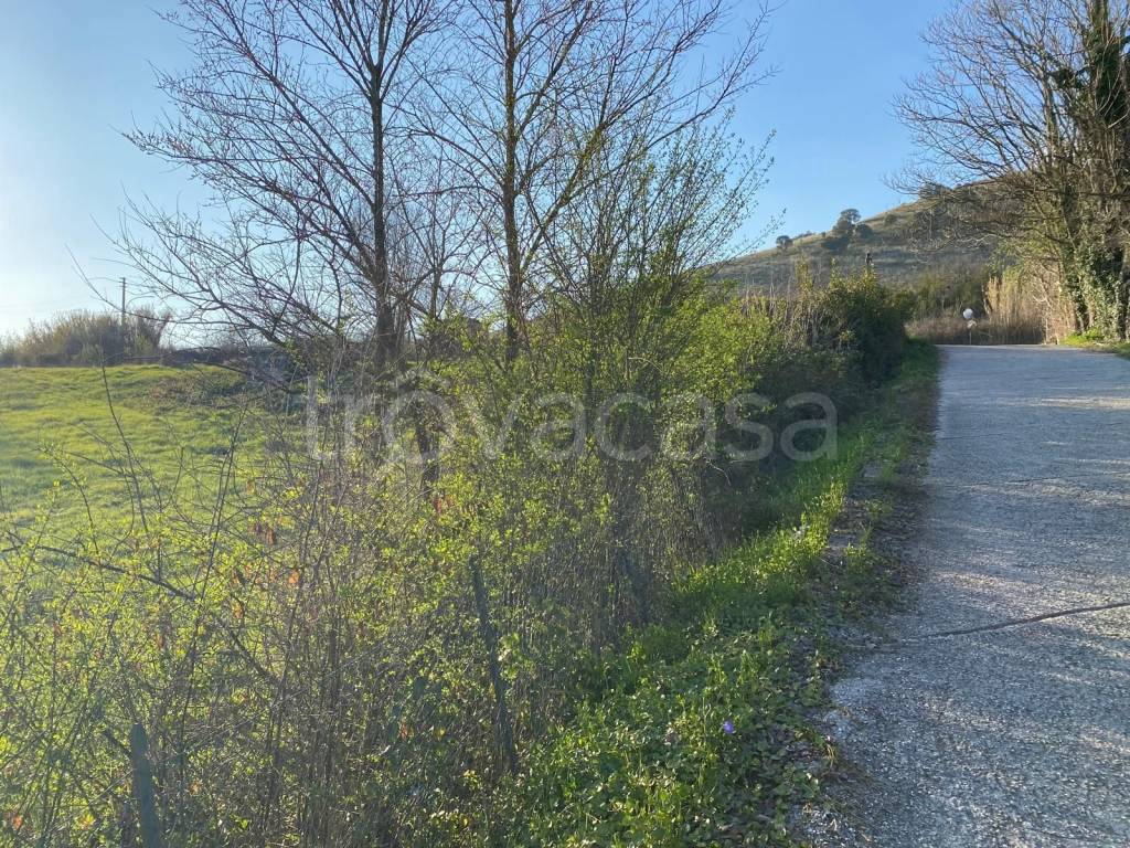 immagine annuncio 4 di 11