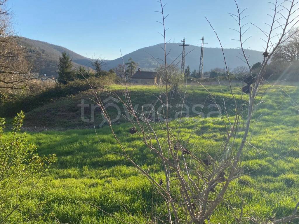 immagine annuncio 6 di 11