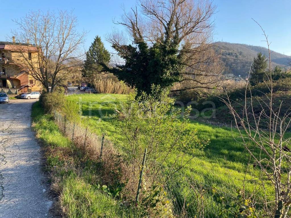 immagine annuncio 7 di 11