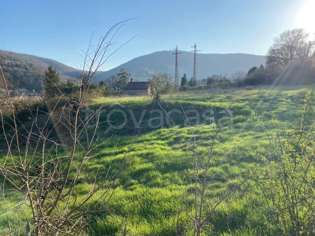 immagine annuncio 9 di 11