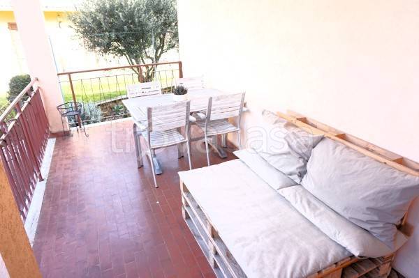 immagine annuncio 4 di 14