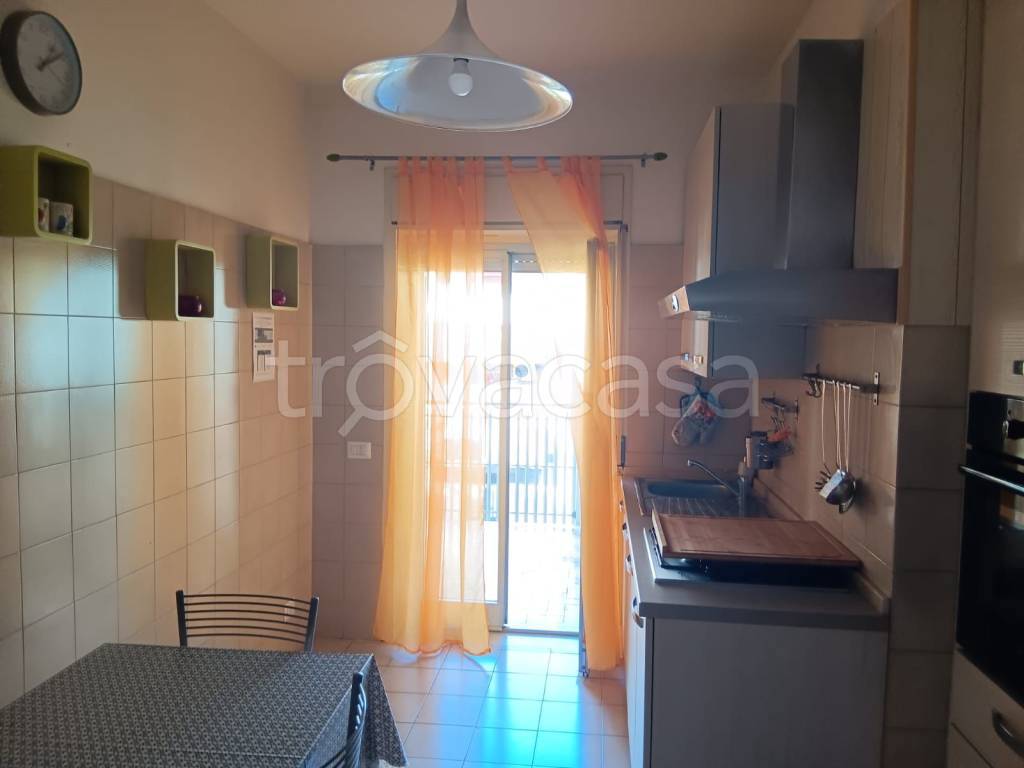 immagine annuncio 5 di 14