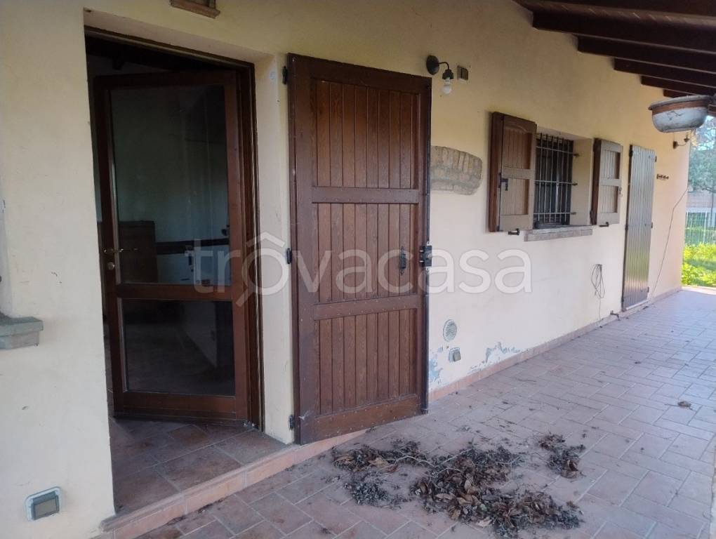 immagine annuncio 8 di 13