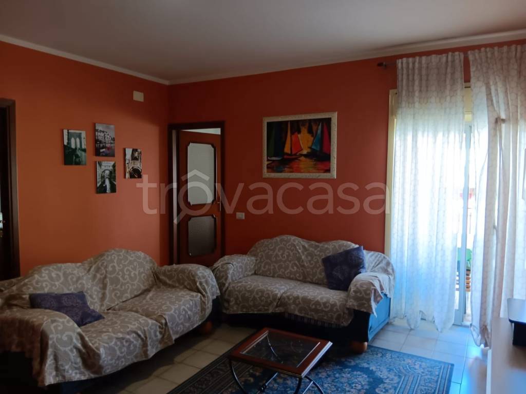 immagine annuncio 3 di 14