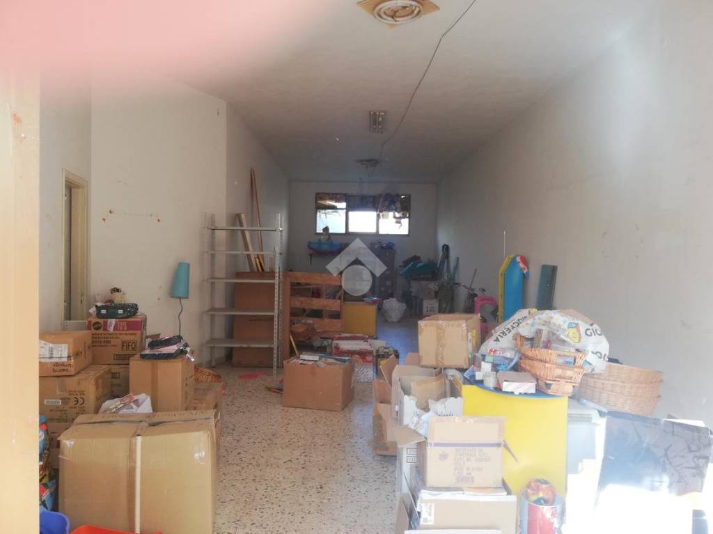 immagine annuncio 4 di 14