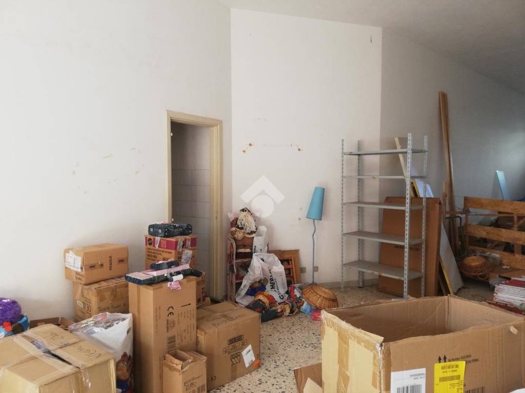 immagine annuncio 6 di 14