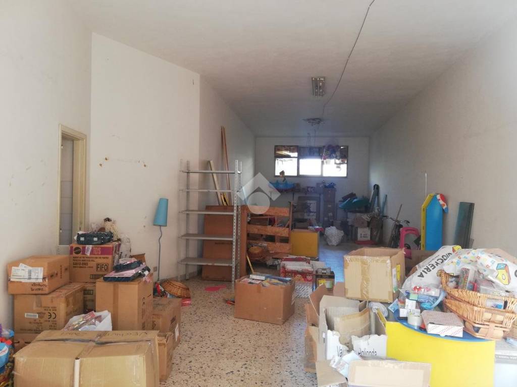 immagine annuncio 7 di 14