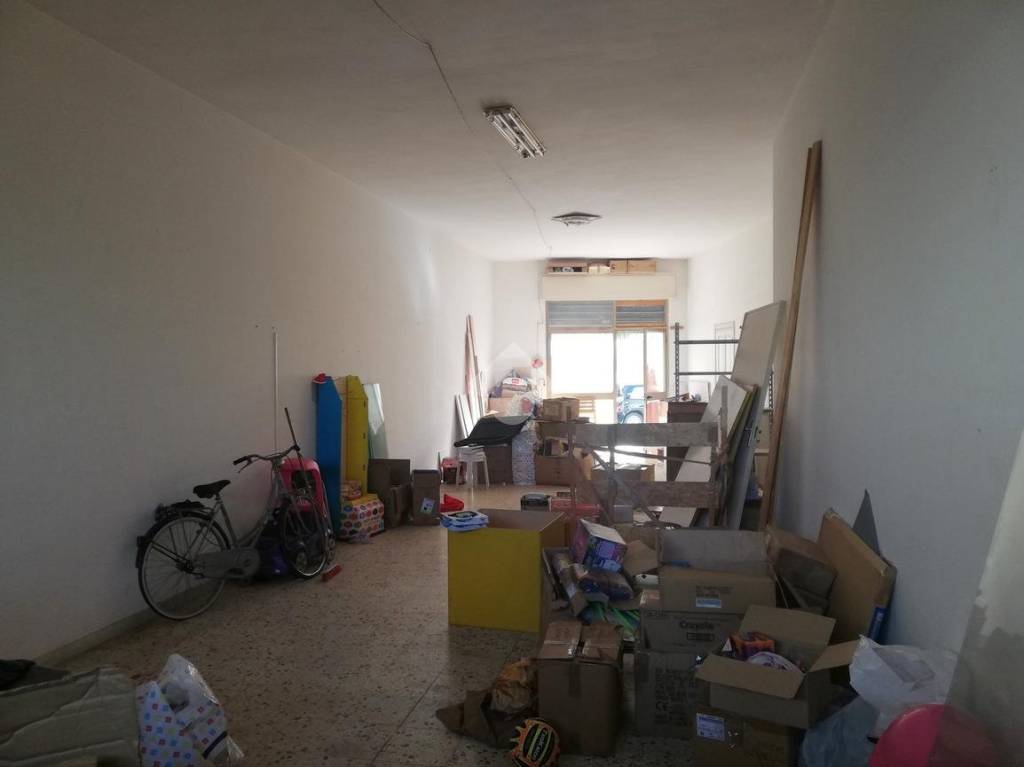 immagine annuncio 12 di 14