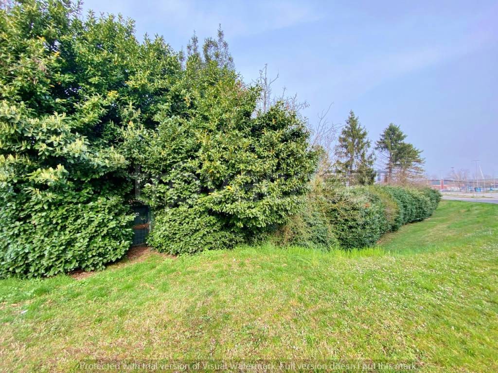 immagine annuncio 3 di 9